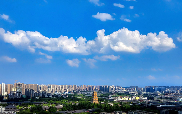 我公司已中標(biāo)銀川機場項目開關(guān)柜